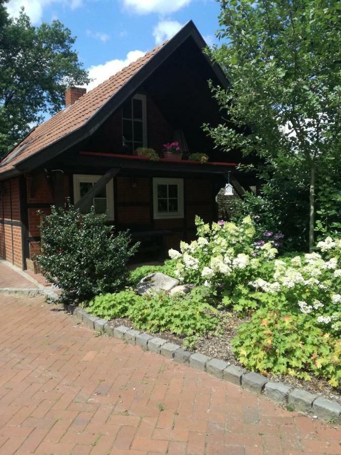 Bippen Ferienhaus In Rumke מראה חיצוני תמונה